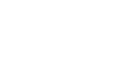 camionblanco